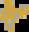 Pan India Presence
